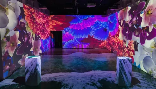 Aalto mobile app UI with two home listings and a title at the top saying 12 new matches