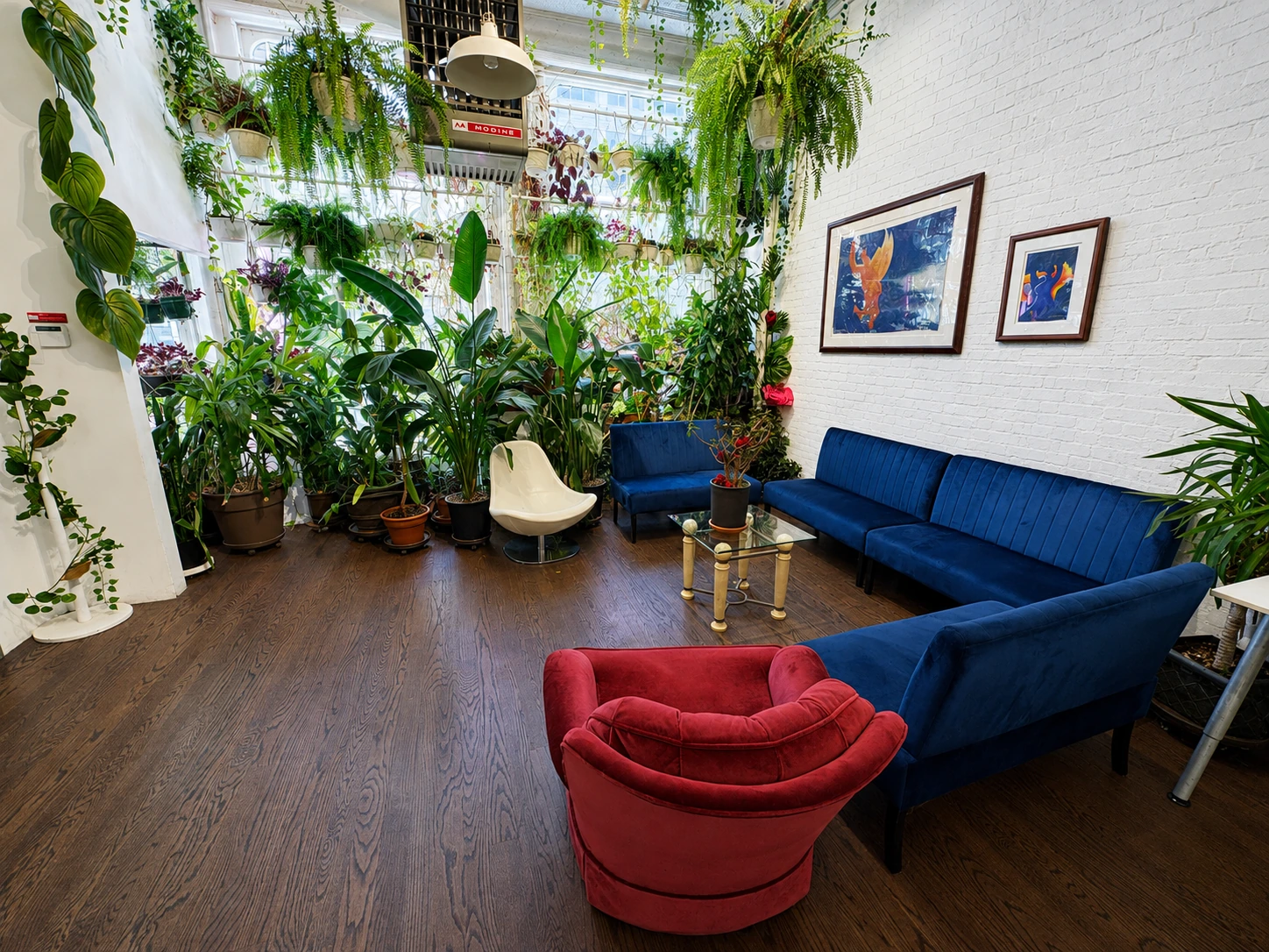 Lounge with plant wall, blue velvet sofas, and a red armchair in Loft 2 at LUME Studios