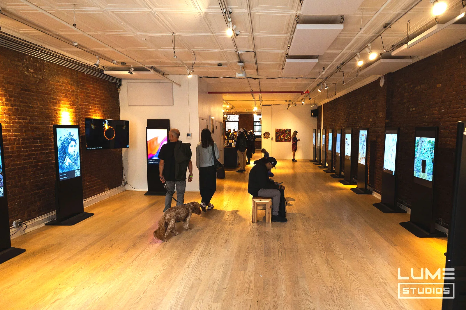 SUBJECTIVE Art Festival at LUME Studios, 393 Broadway, gallery corridor