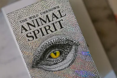 Close-up of a reflective card titled 'The Wild Unknown Animal Spirit' featuring a detailed animal eye illustration with a yellow iris.