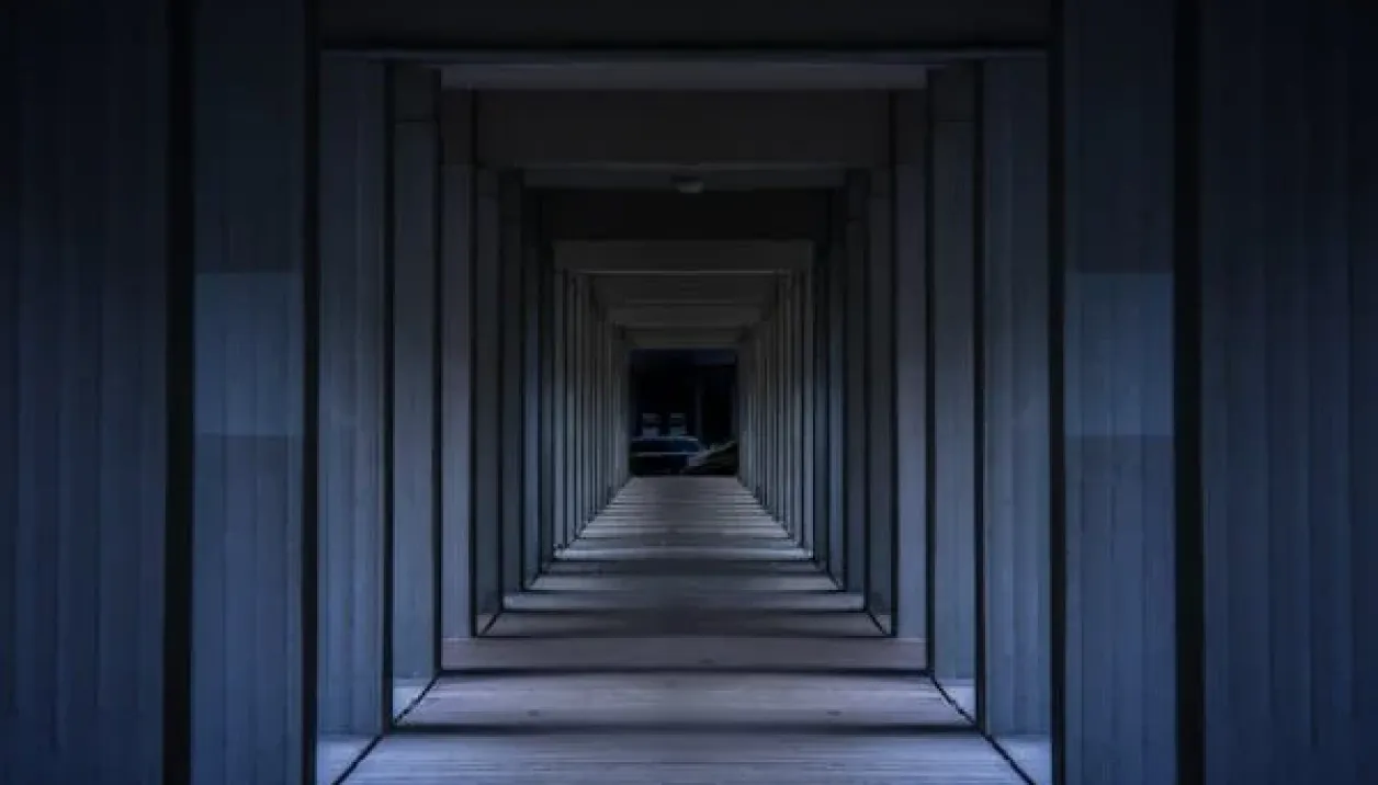 Dark, symmetrical corridor with evenly spaced pillars creating a tunnel-like view.