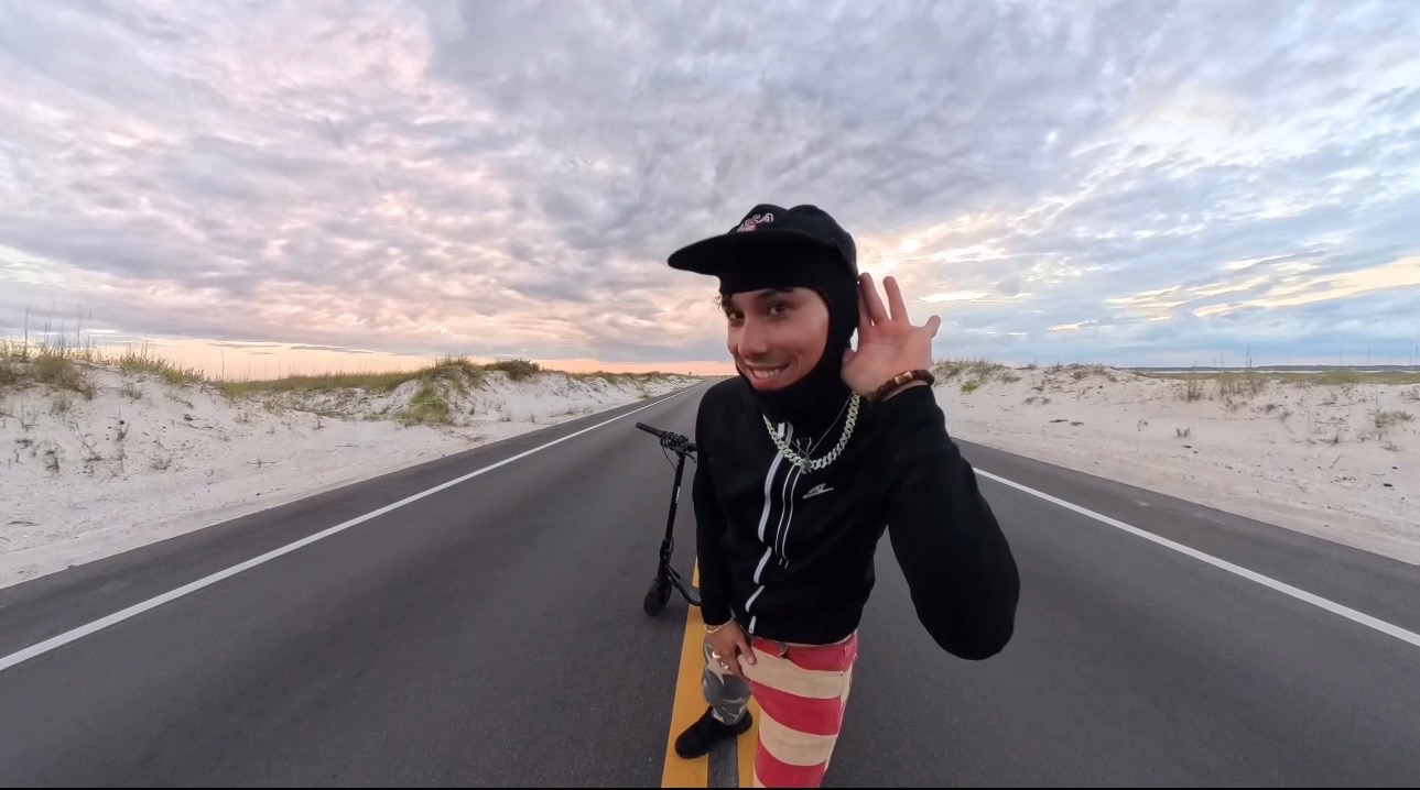 image of a concert crowd