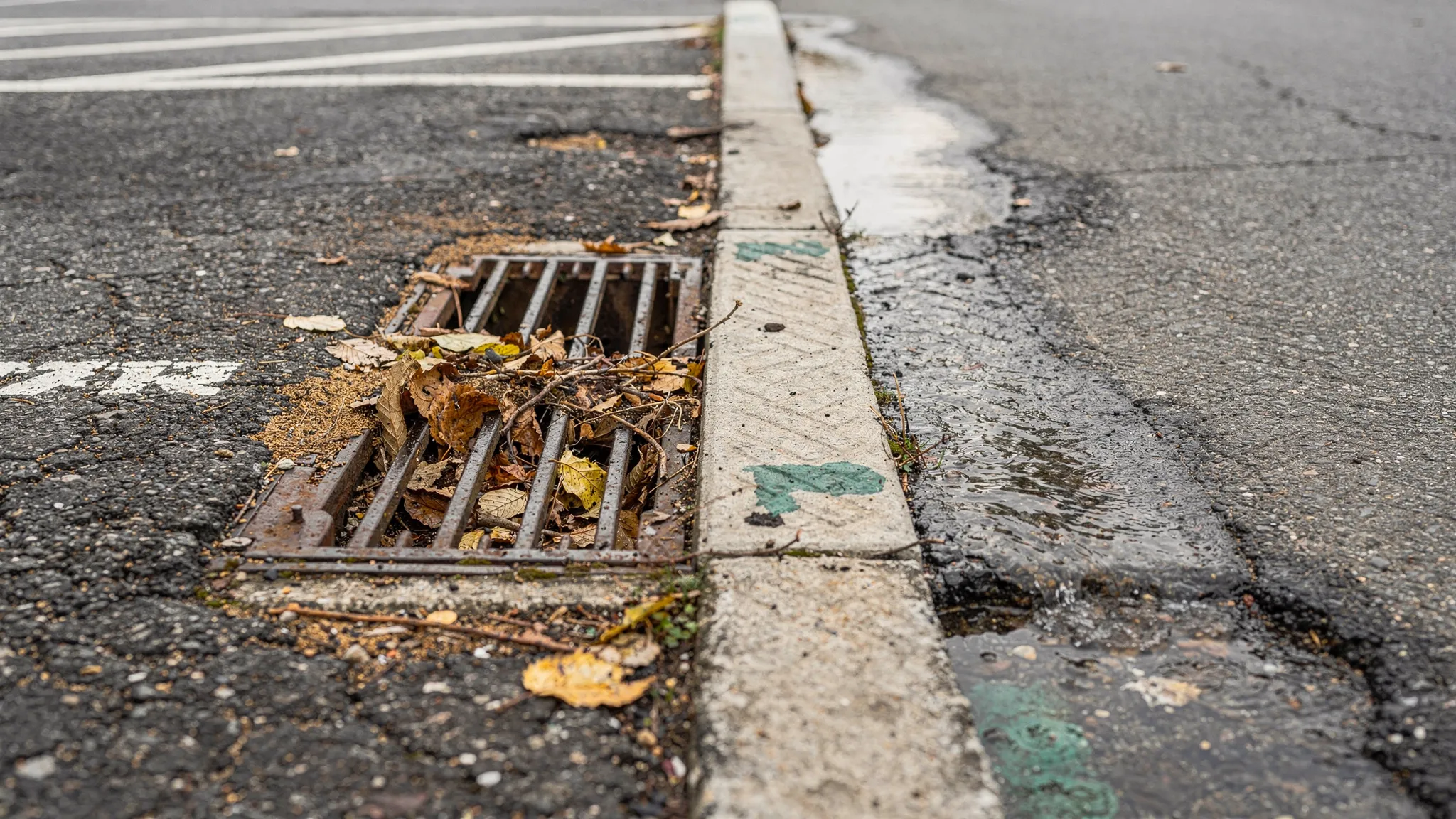 A close-up scene of a storm drain inlet at the edge of a parking lot: one side shows leaves and sediment blocking the grate; the other side shows the grate fully clear, with clean pavement edges and visible water flow path toward the inlet.