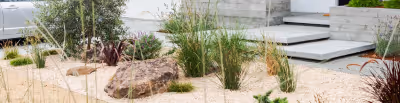 A sandy garden with rocks, grasses, and plants in front of a modern building entrance with steps.