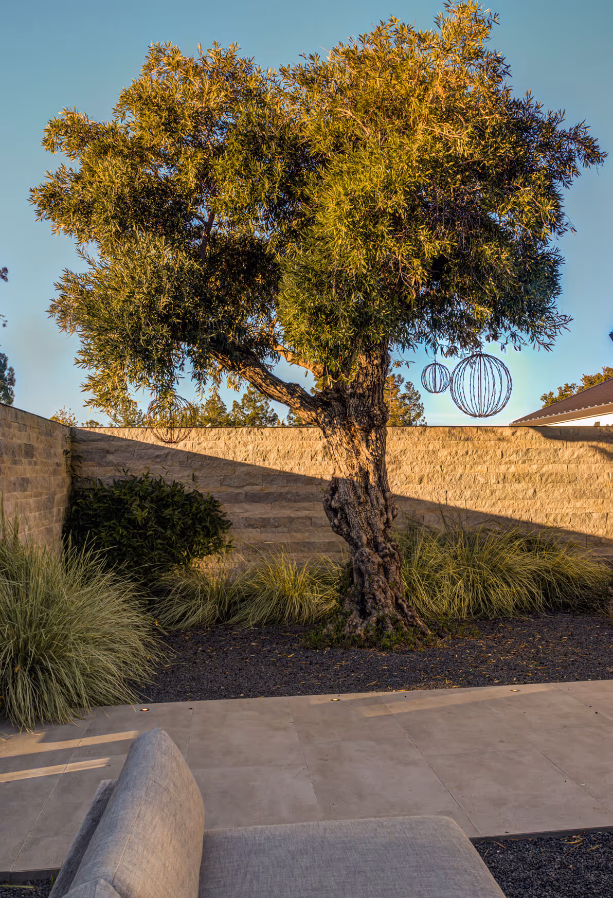 Outdoor patio with a large olive tree decorated with spherical wire ornaments and surrounded by ornamental grasses and a stone wall.
