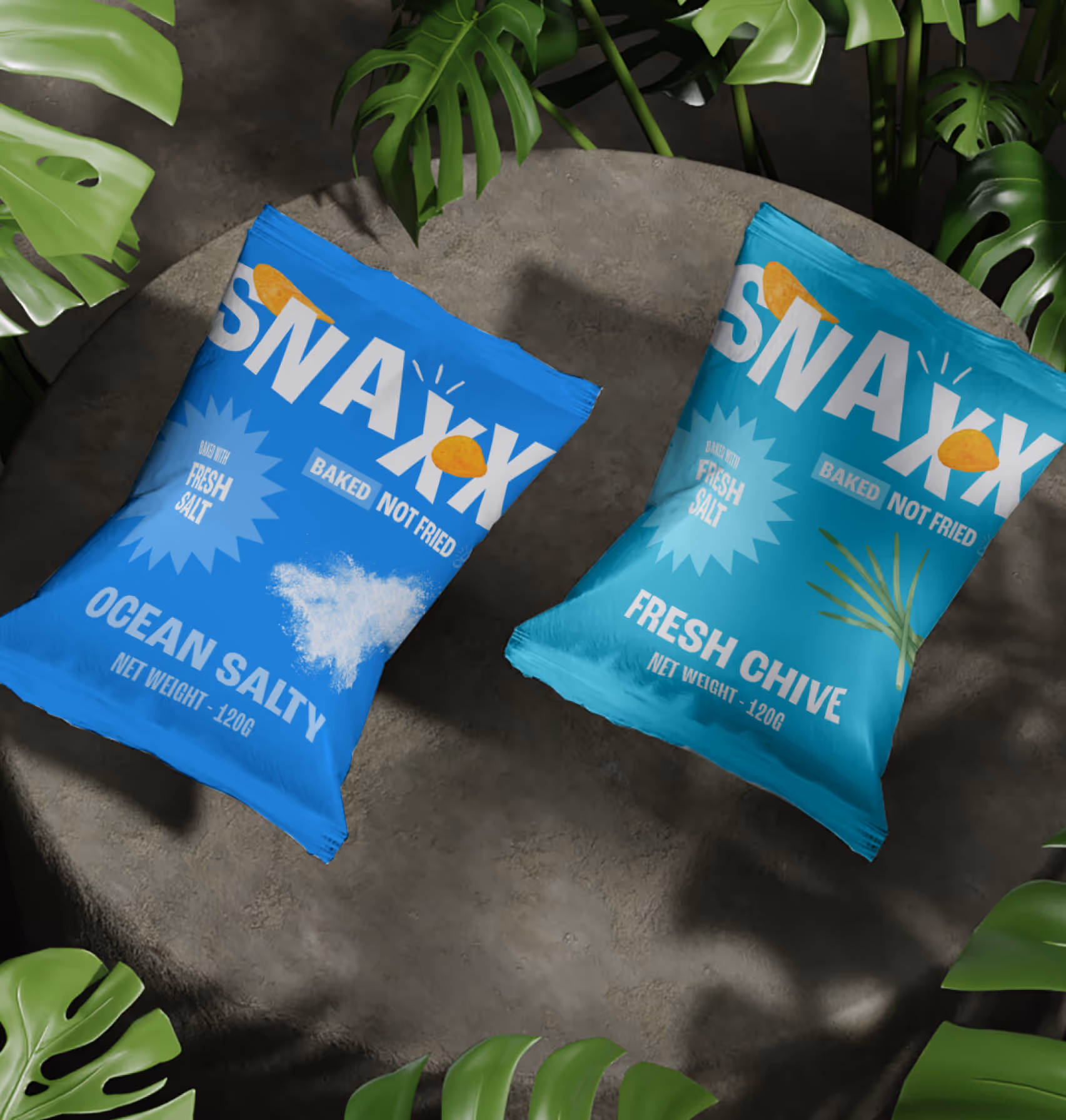 SNAXX Ocean Salty and Fresh Chive baked chips bags styled in a natural setting.