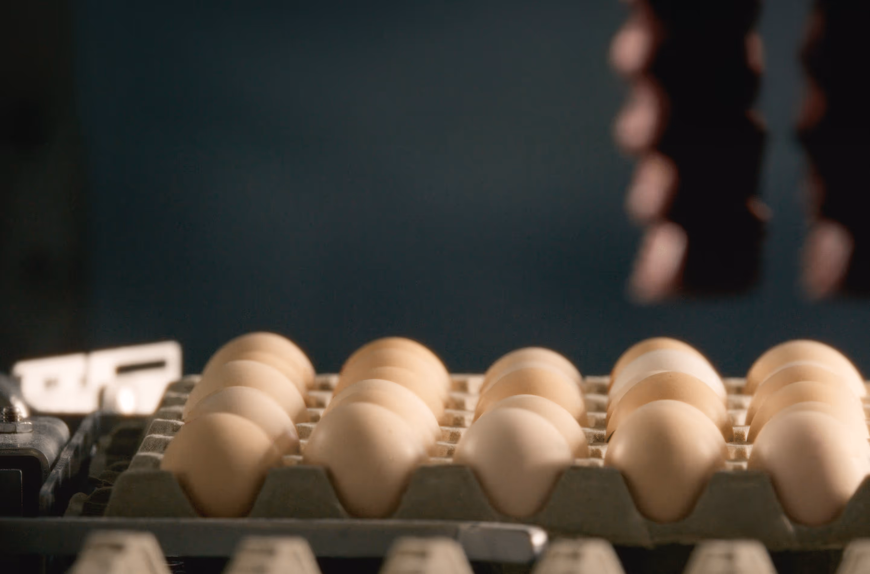 Tray filled with rows of brown eggs in a low-lit setting with a blurred dark background.