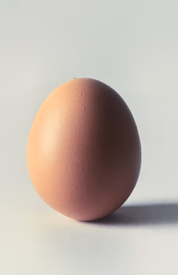 Close-up of a single brown egg standing upright on a light surface with soft shadow.