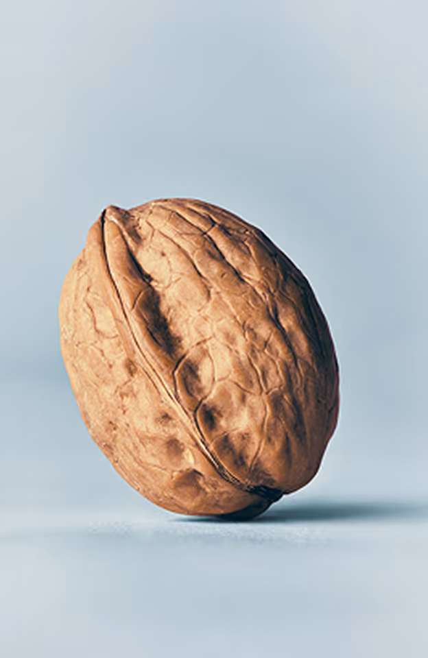 Close-up of a whole walnut in its shell on a light blue surface.