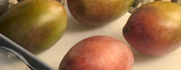 Close-up of ripe mangoes with varying colors on a light surface.