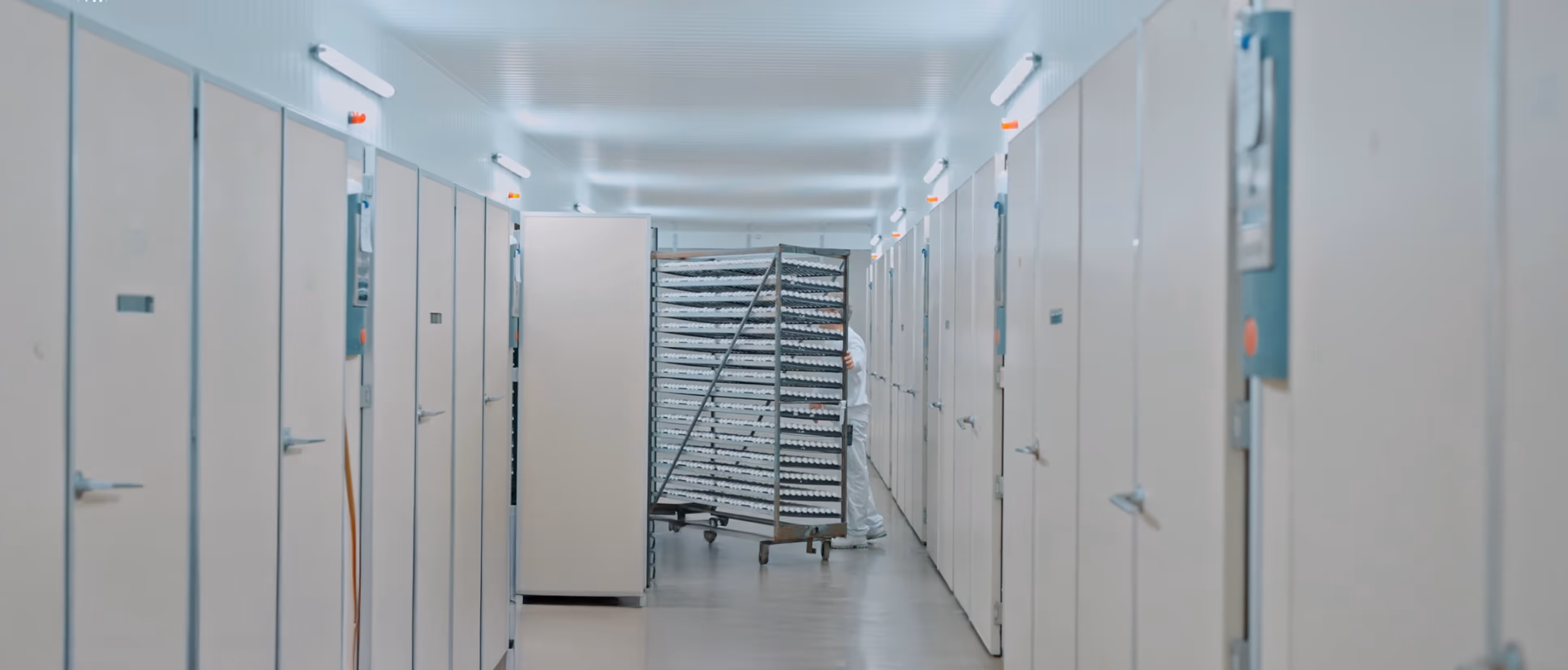 Person in white protective clothing pushing a large rack filled with trays down a corridor lined with closed cabinet doors.