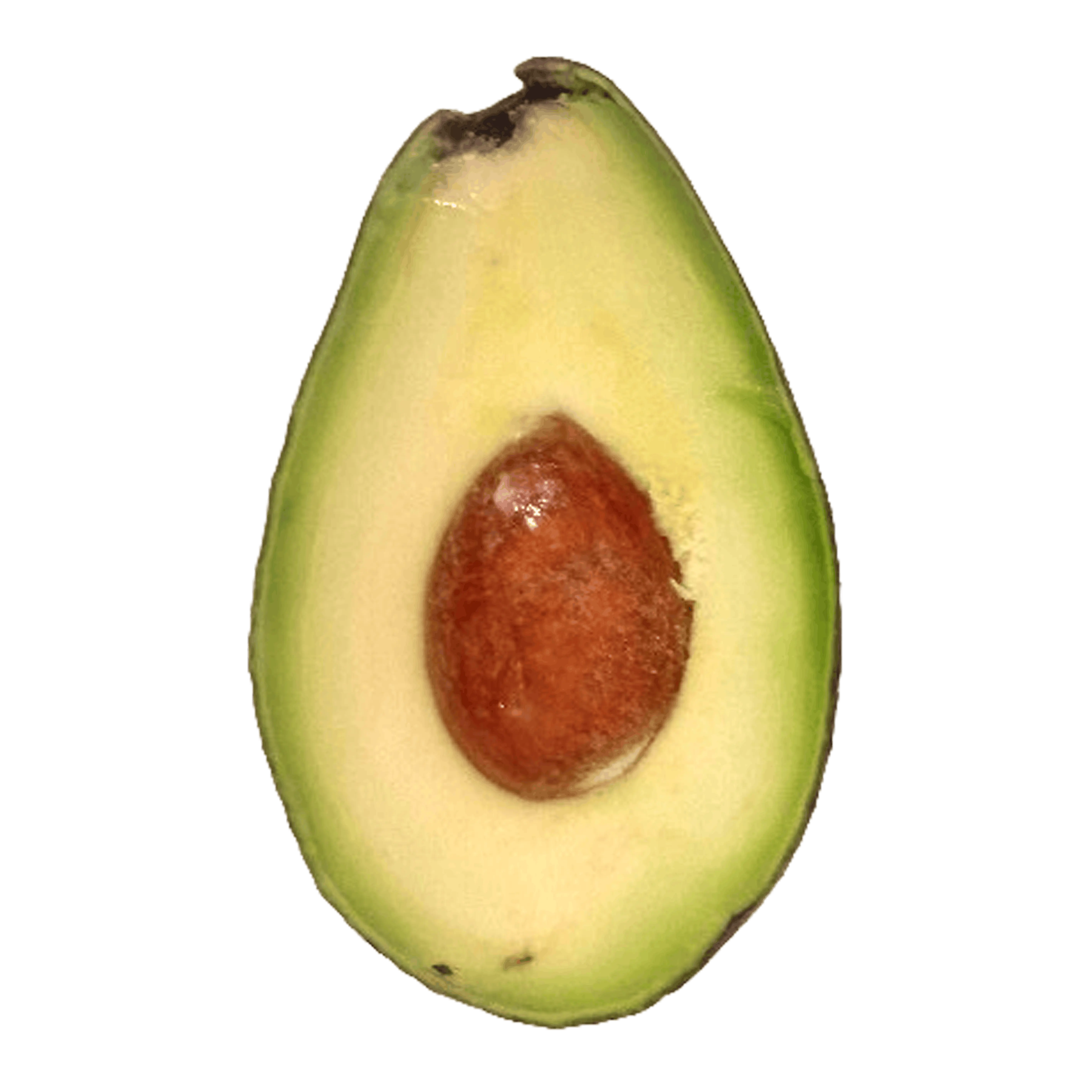 Photograph of a physical avocado slice cut open to show the flesh and seed