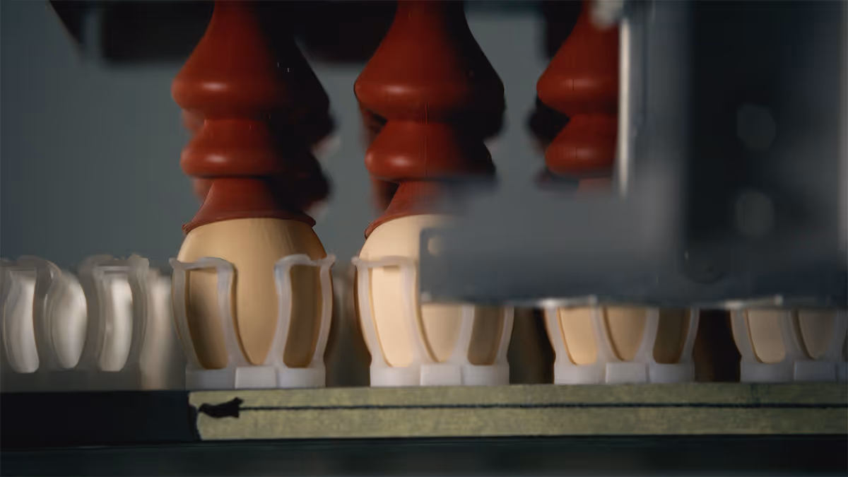 The New Commercial Hatchery of Hendrix Genetics in Germany will be equipped with the Genus Focus for In-Ovo Sexing from Orbem and the Vencomatic Group