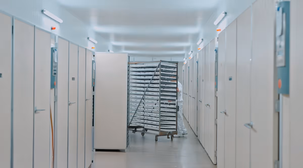 How the Genus Focus adds Value to Hatcheries with full Automation