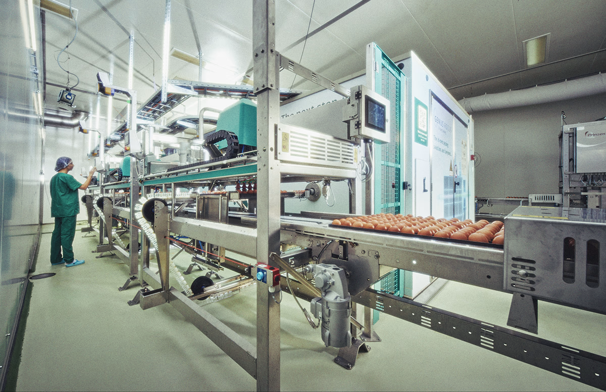 Achieving Peak Performance: Hendrix Genetics’ Hatchery Transformation