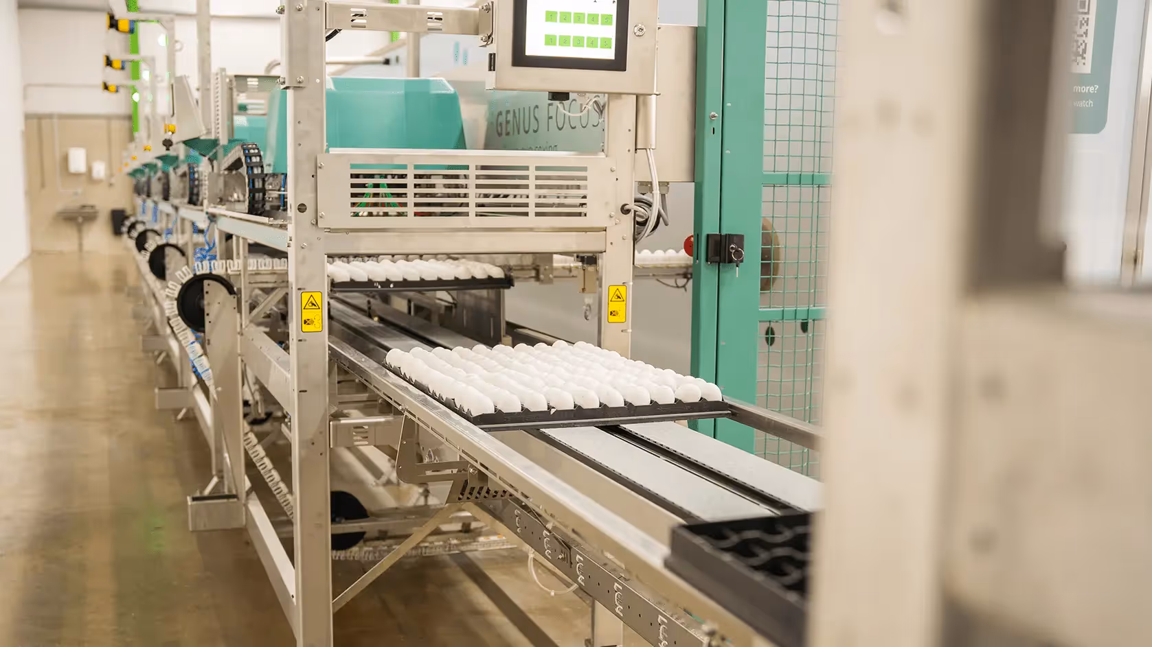 The Intelligent Egg: Unlocking Long-Term Economic Value in the Hatchery