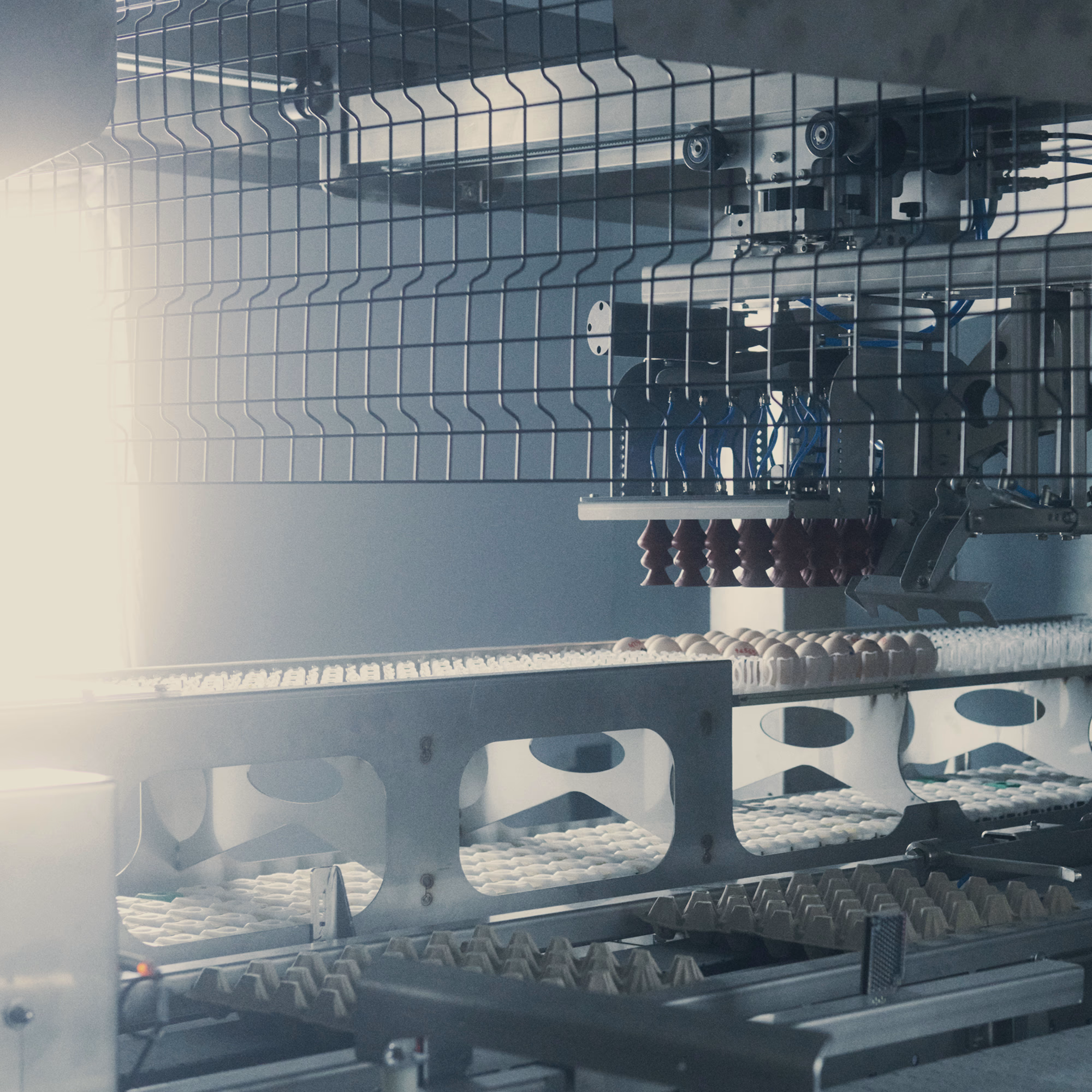 7 Technologies Redefining the US Hatchery in 2026