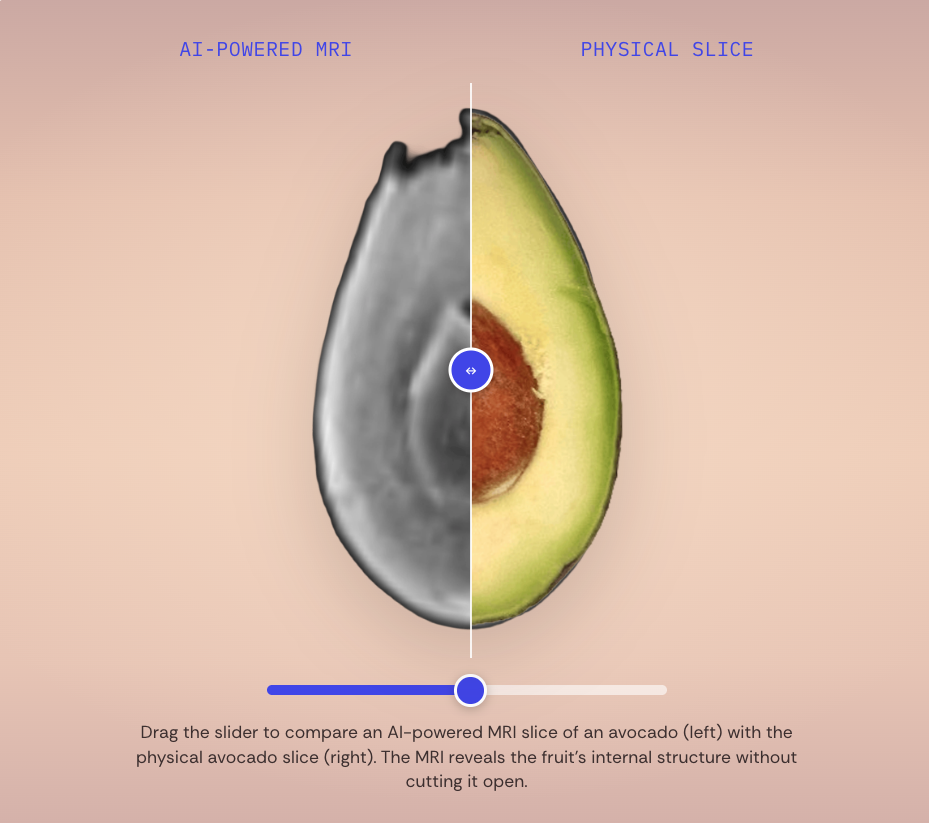The Seven Internal Avocado Defects That Affect Most Producers