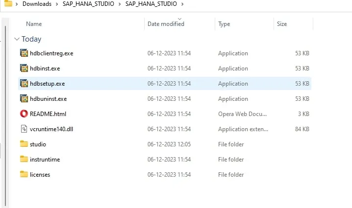 SAP GUI Install Steps 