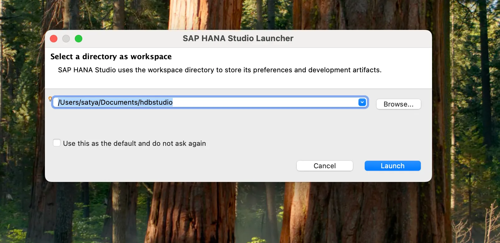 SAP GUI Install Steps