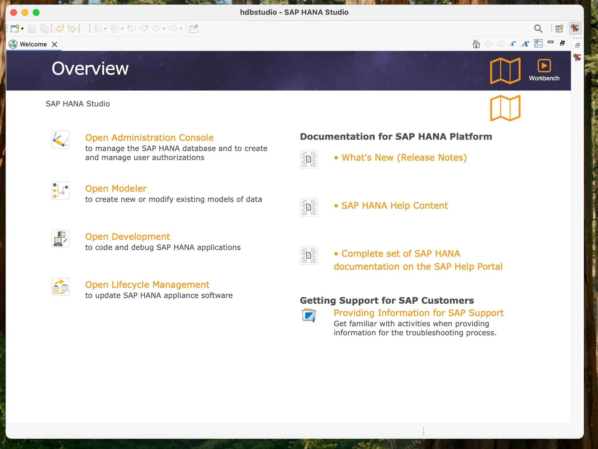 SAP GUI Install Steps
