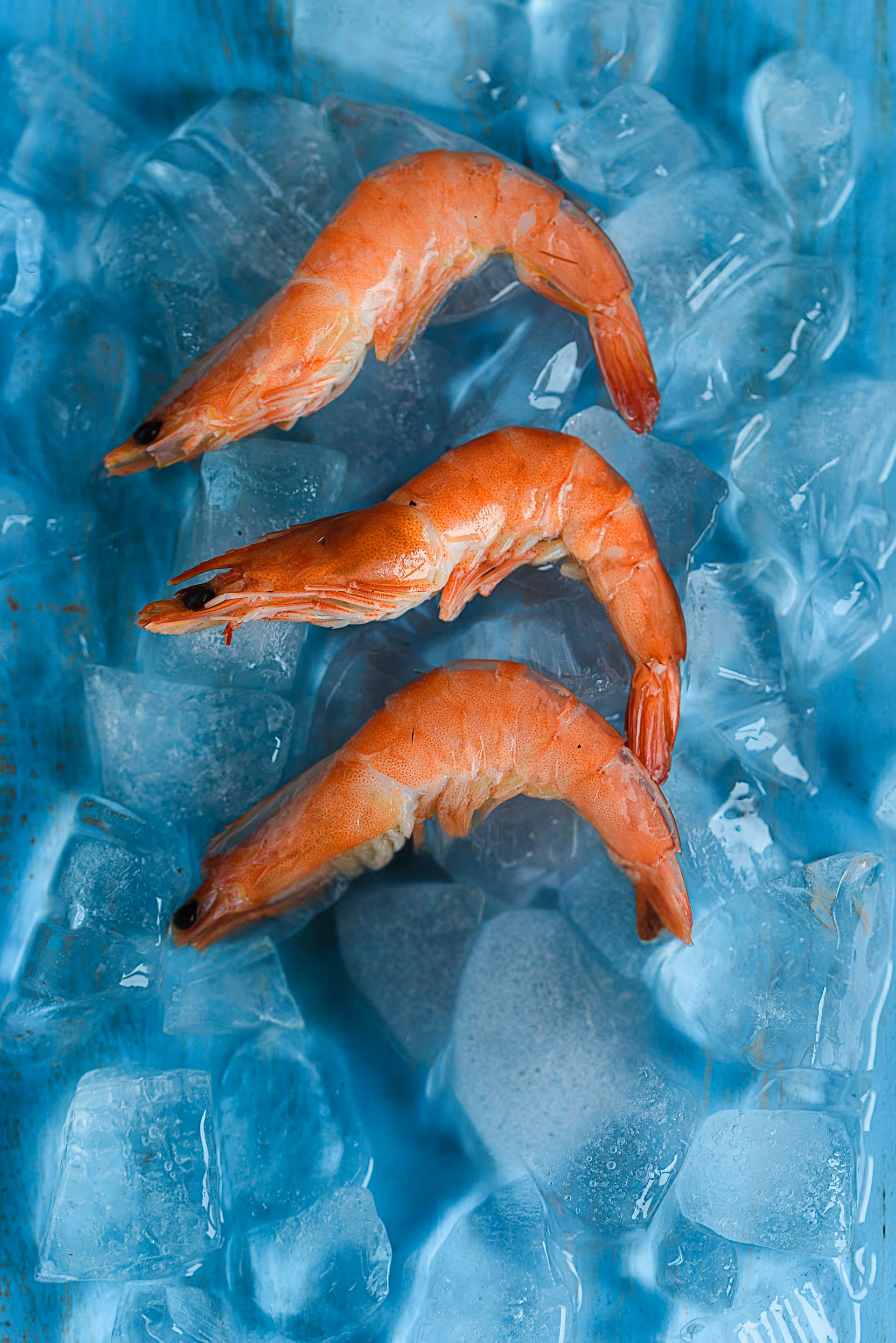 Fresh seafood provisioning for yachts