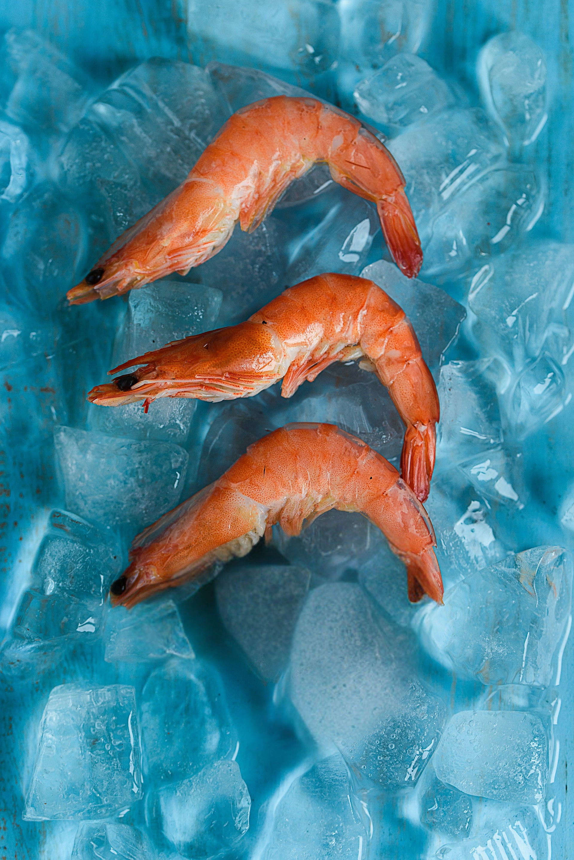 Fresh seafood provisioning for yachts