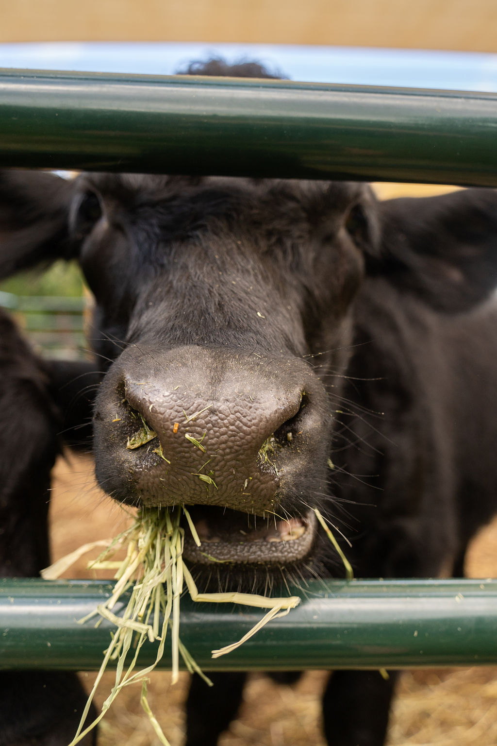 mindfulness nature walk experience