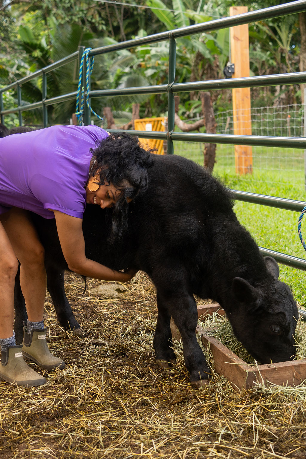 image of animals receiving care