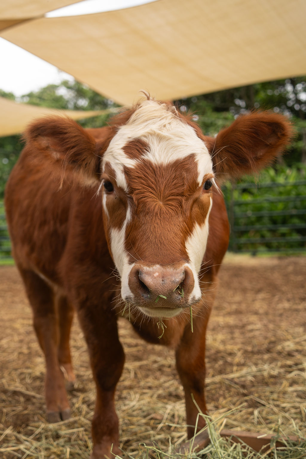 image of grocery aisles