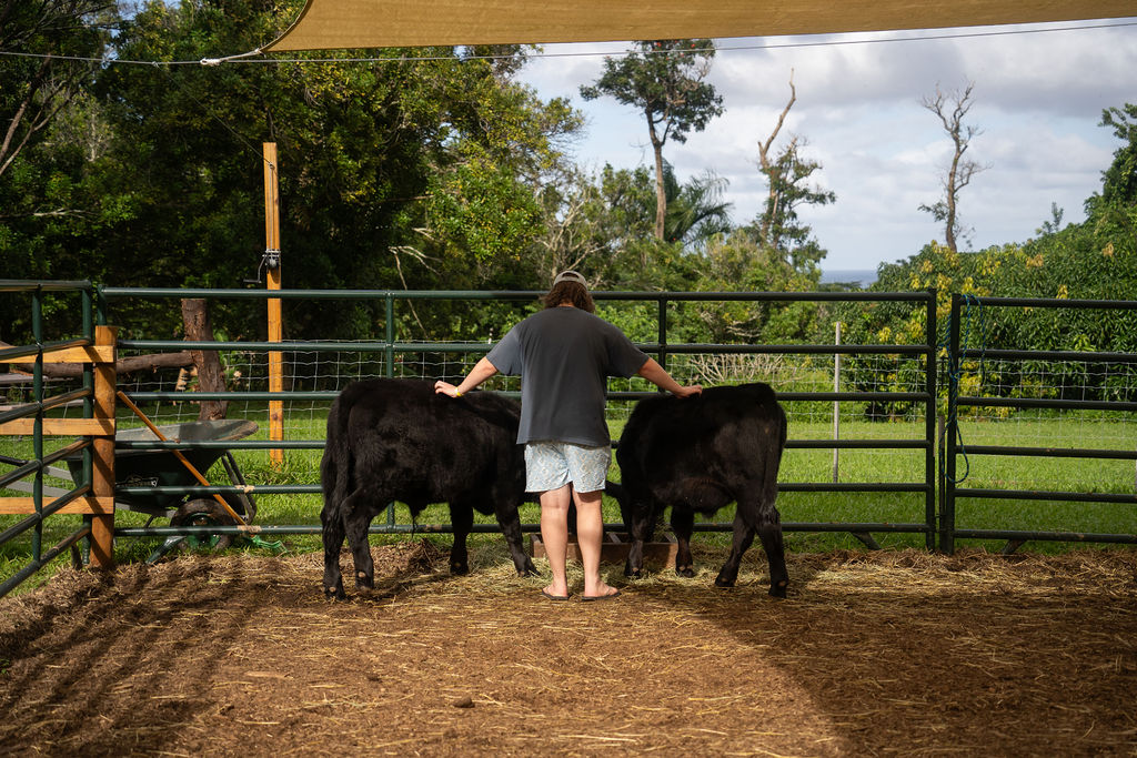 image of community project