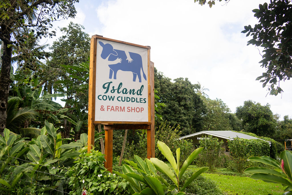 image of fresh meat counter (for a grocery store)