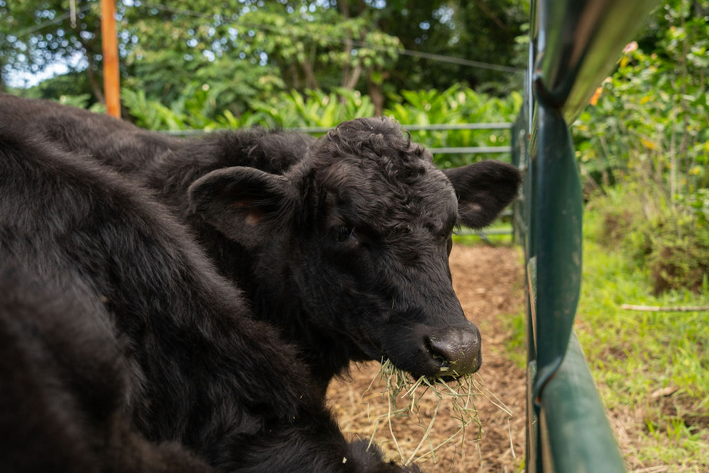 image of customer participating in instore event for a department store