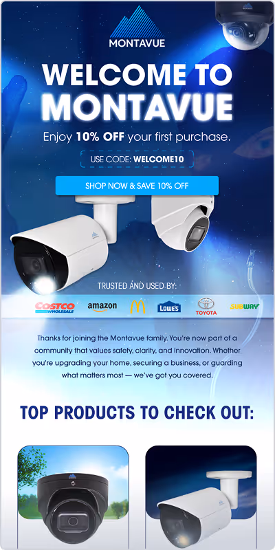 An example of an Email Design done by Social Scout