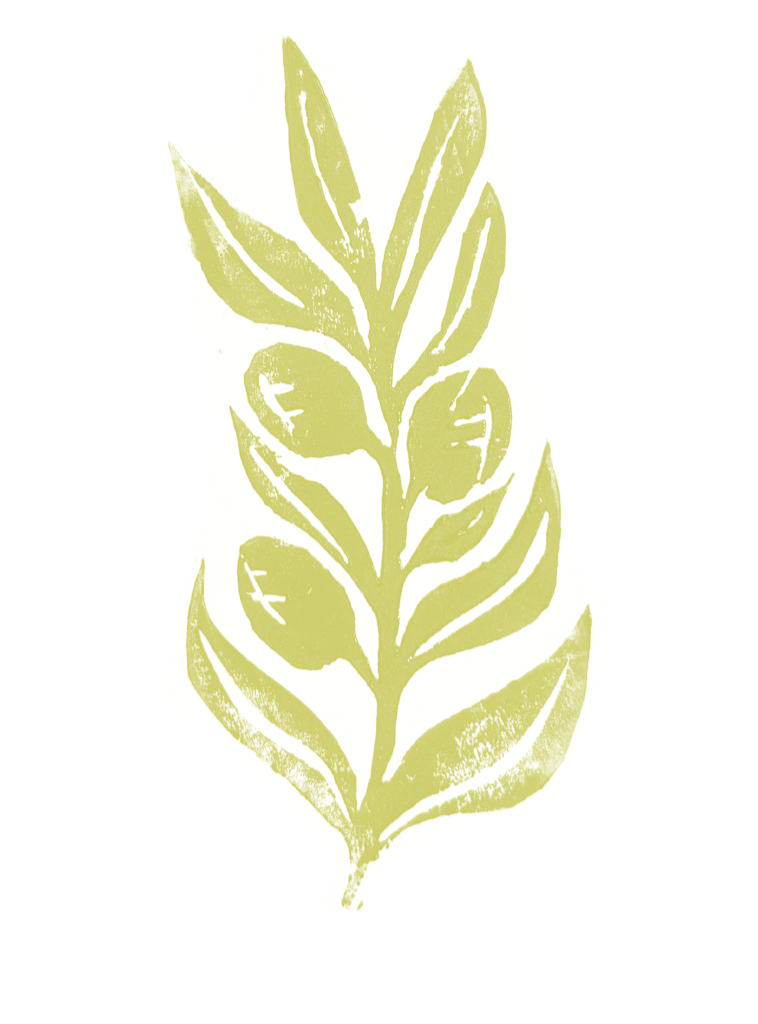 Illustration d'une branche d'olivier en linogravure faite main - Tout le Gratin