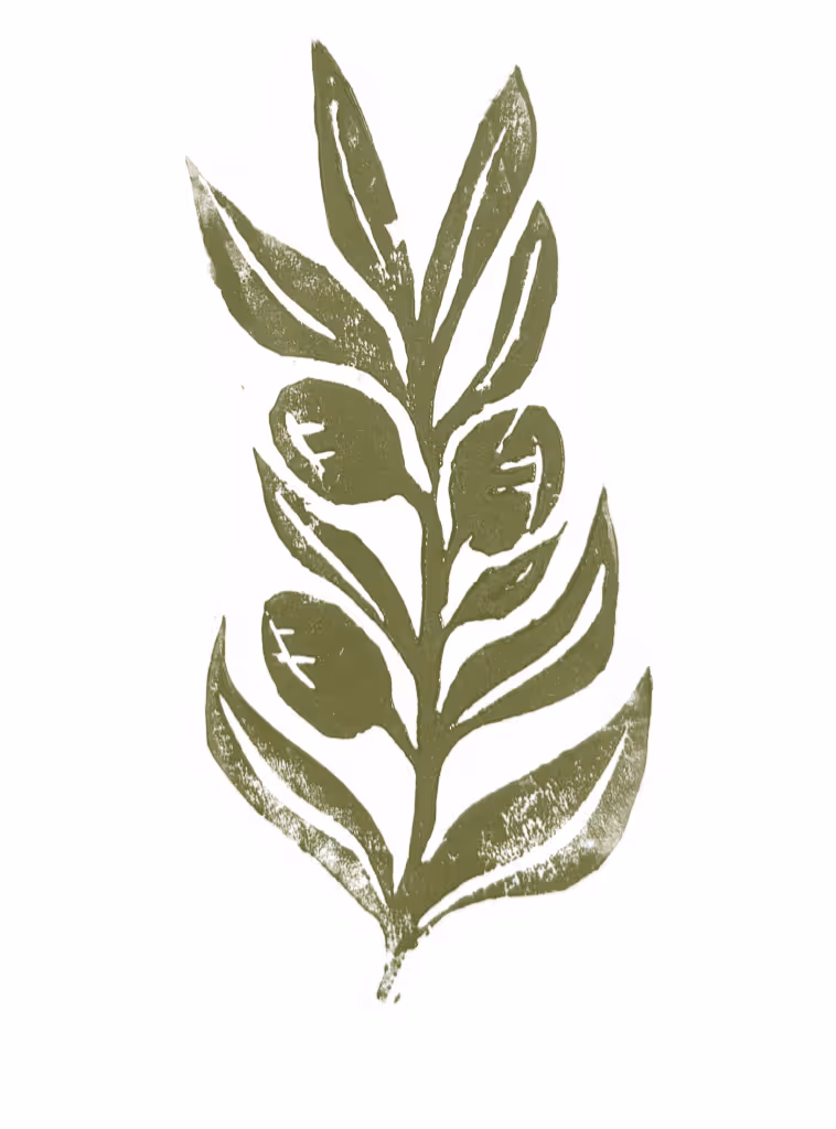 Illustration d'une branche d'olivier en linogravure faite main - Tout le Gratin