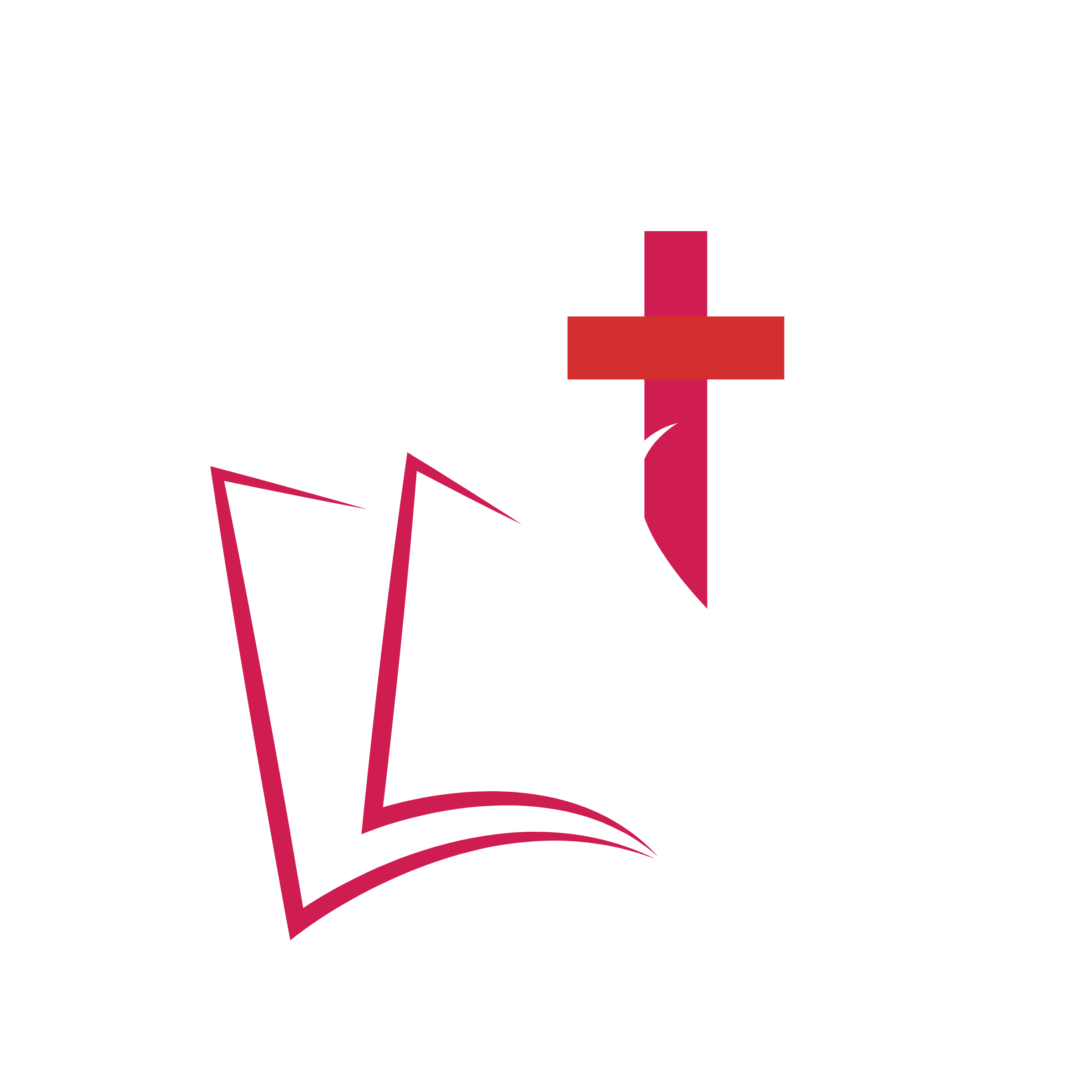 Puer Iesus College