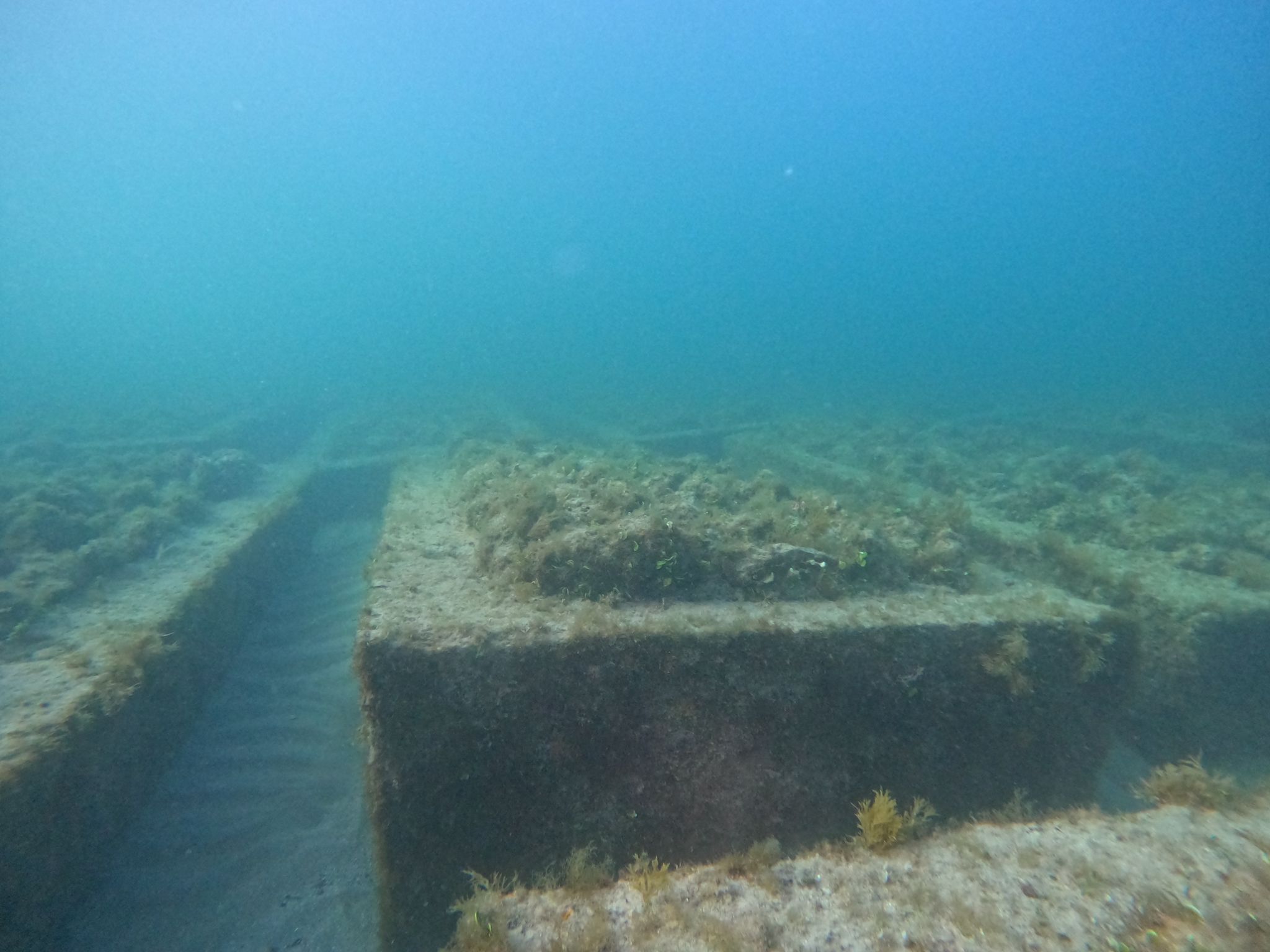 image of corporate office building (for a green tech/cleantech company)