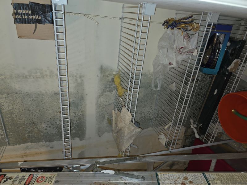 Closet with white wire shelves, showing black mold growth on the back wall and various stored items including a cardboard box, cloths, and an orange bucket.
