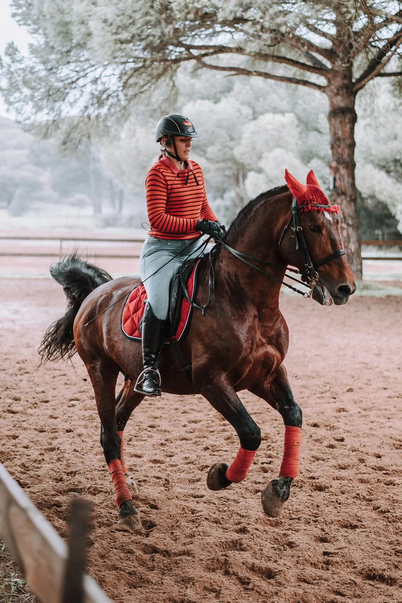 Picturesque Trails and Premium Facilities