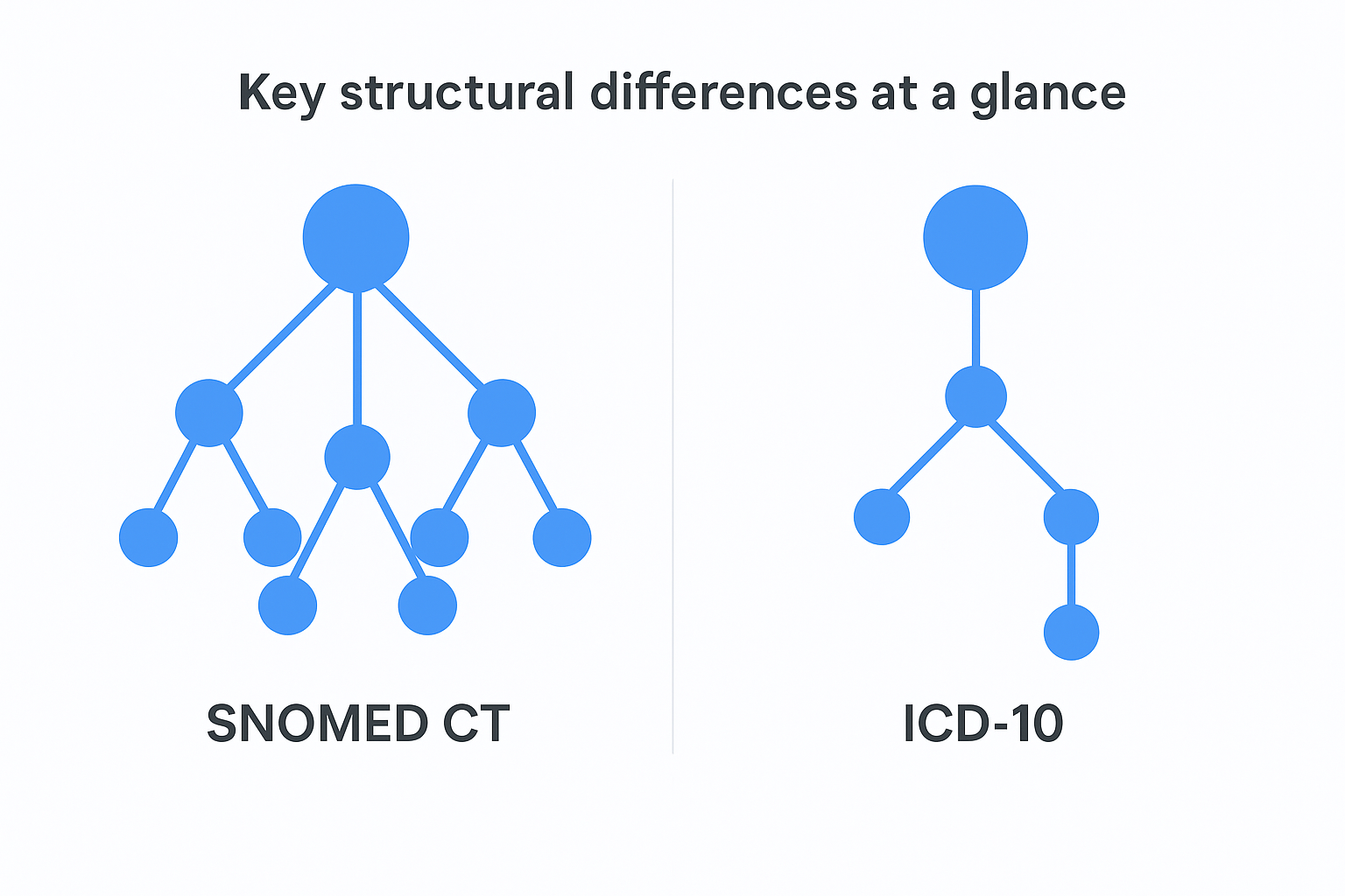 Key structural differences at a glance