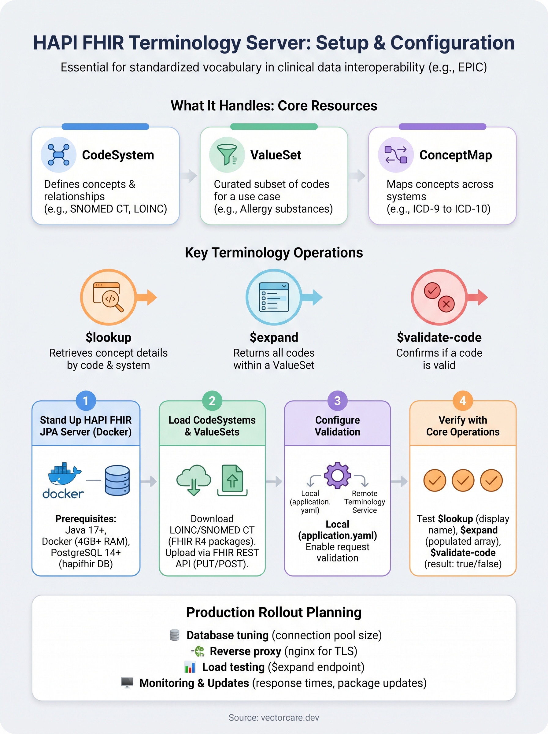 hapi fhir terminology server infographic