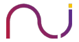 Network Intelligence logo