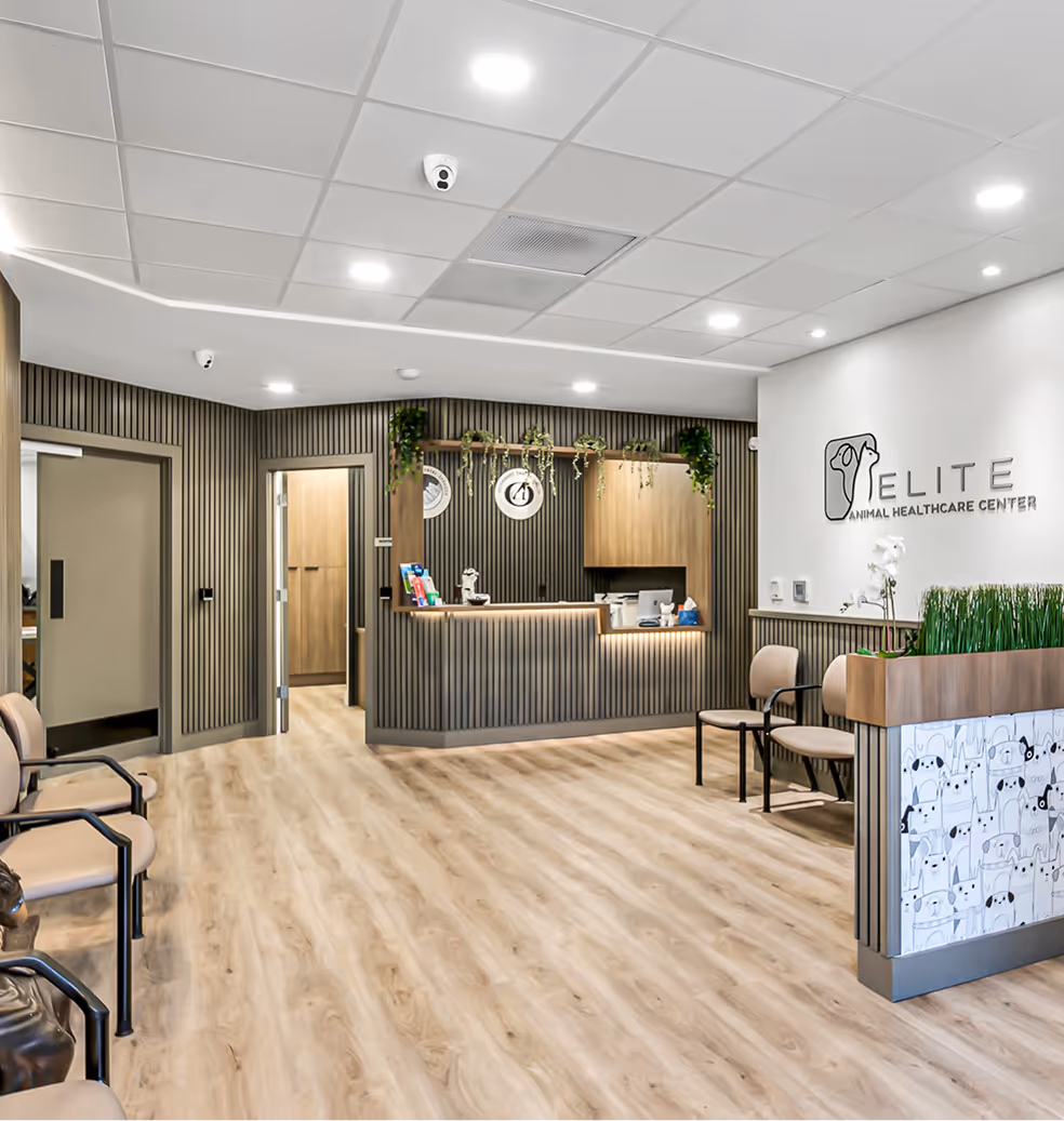 Modern veterinary clinic waiting area with wood flooring, beige chairs, reception desk with plants, and a sign reading Elite Animal Healthcare Center.