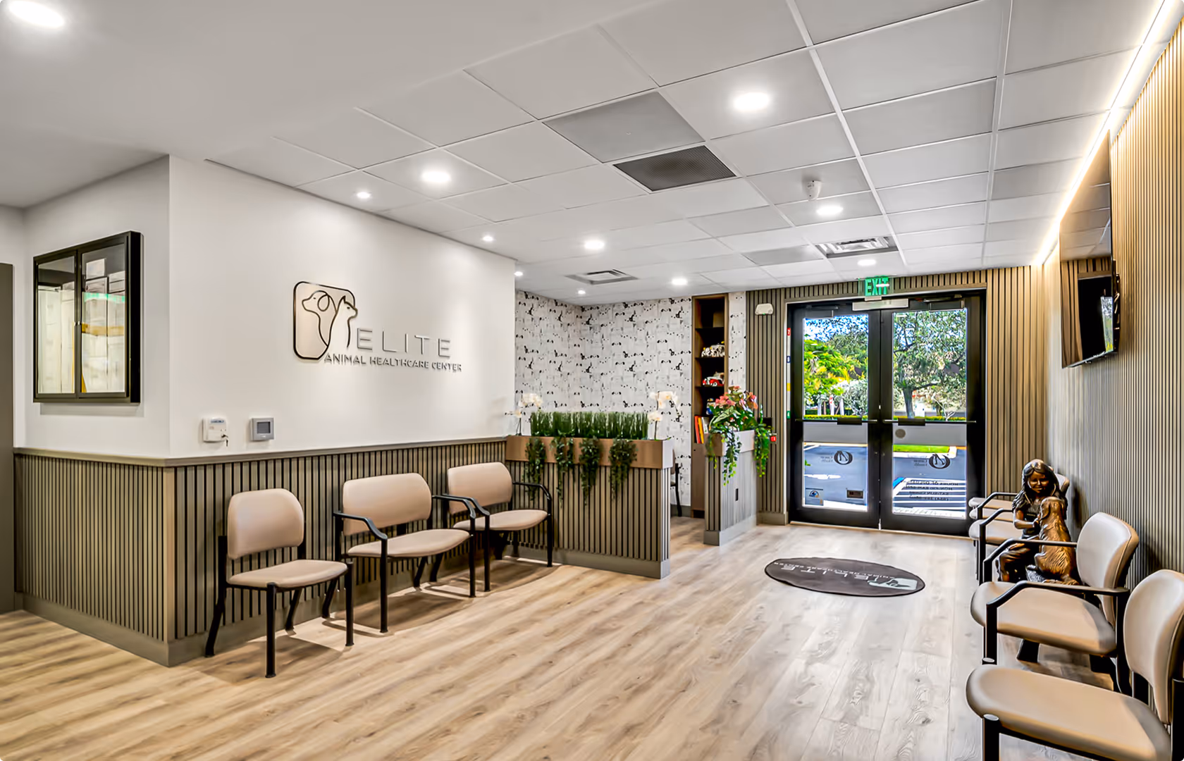 Modern veterinary clinic waiting room with beige chairs, wooden floor, plants, and glass double doors showing an outside view.