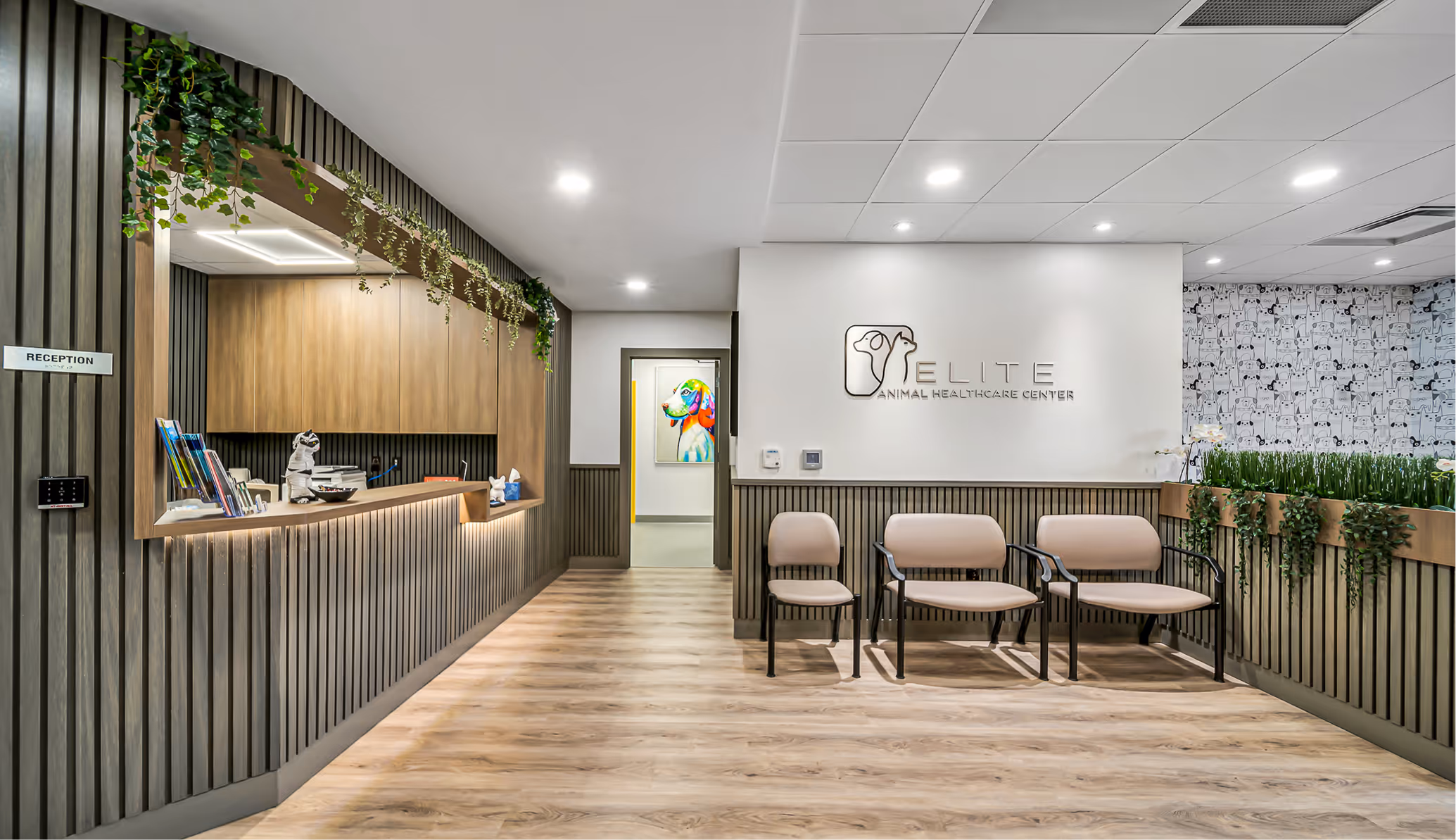 Modern veterinary clinic reception area with wooden panel walls, a counter with hanging plants, beige chairs, and a colorful dog painting in the back hallway.