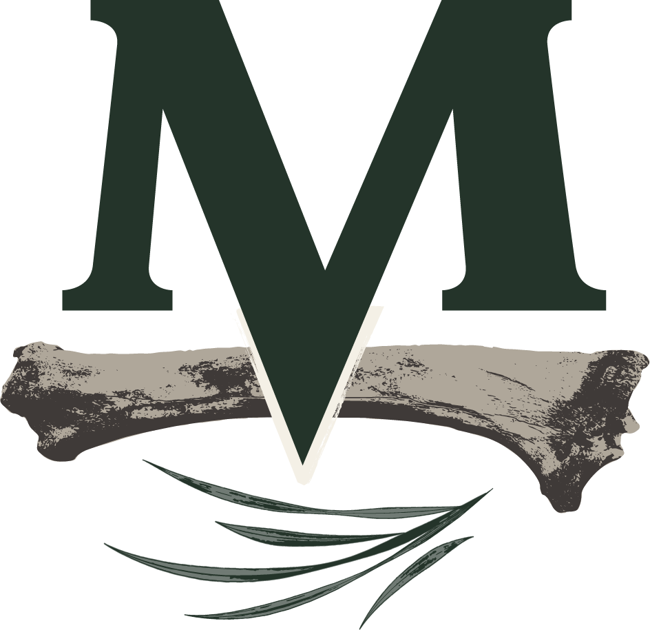 Large dark green letter M above a horizontal grey bone with curved lines beneath it.