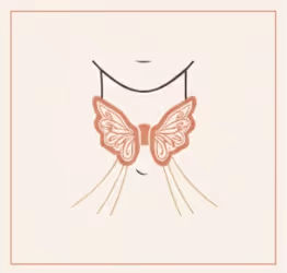 En savoir plus sur l'accompagnement thyroïde. Illustration glande thyroïde : accompagnement naturel hypothyroïdie et Hashimoto.