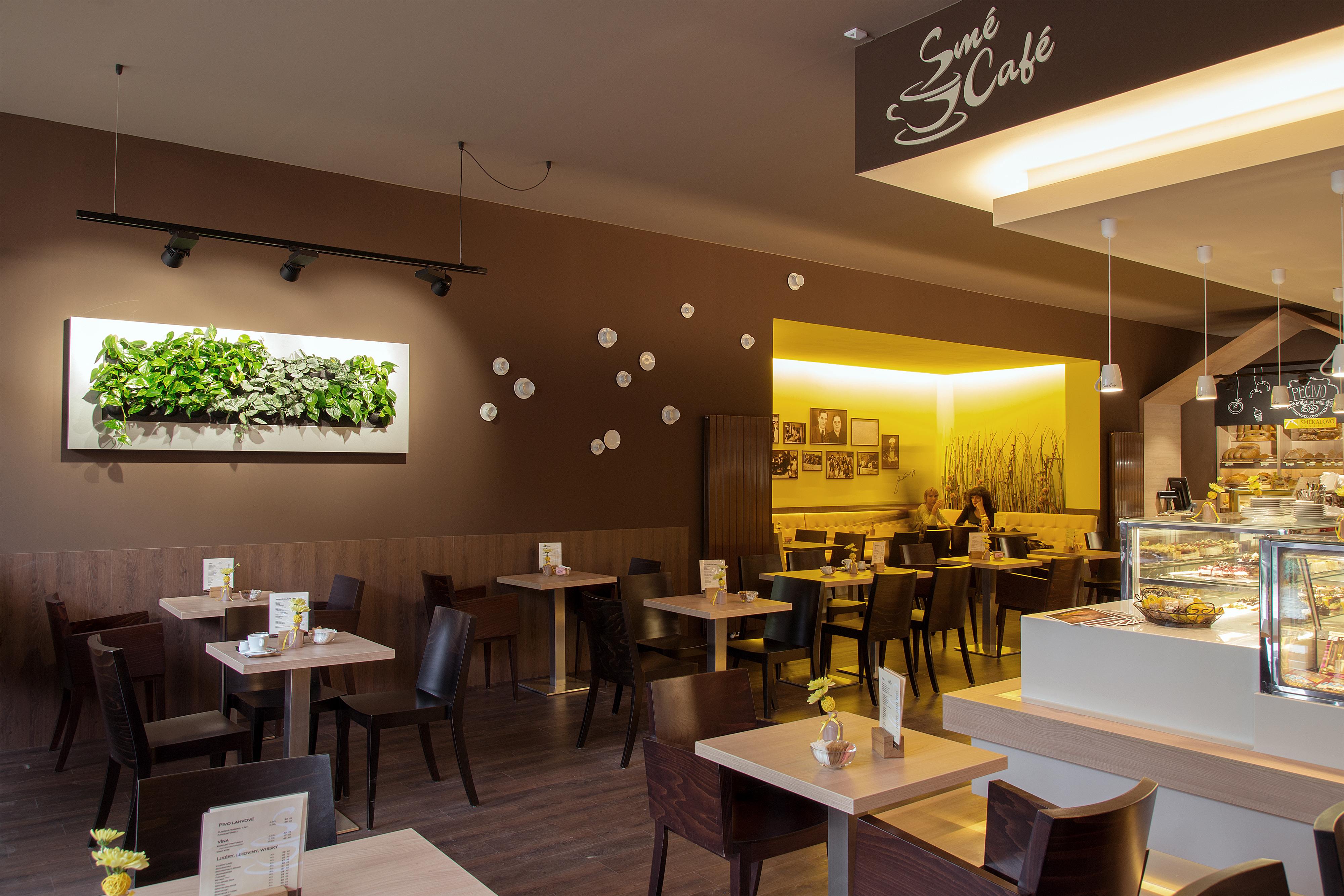 Interiér kavárny s hnědými stěnami, stolky se židlemi, zelenou rostlinou na zdi a dvěma ženami u stolku v osvětleném koutě.