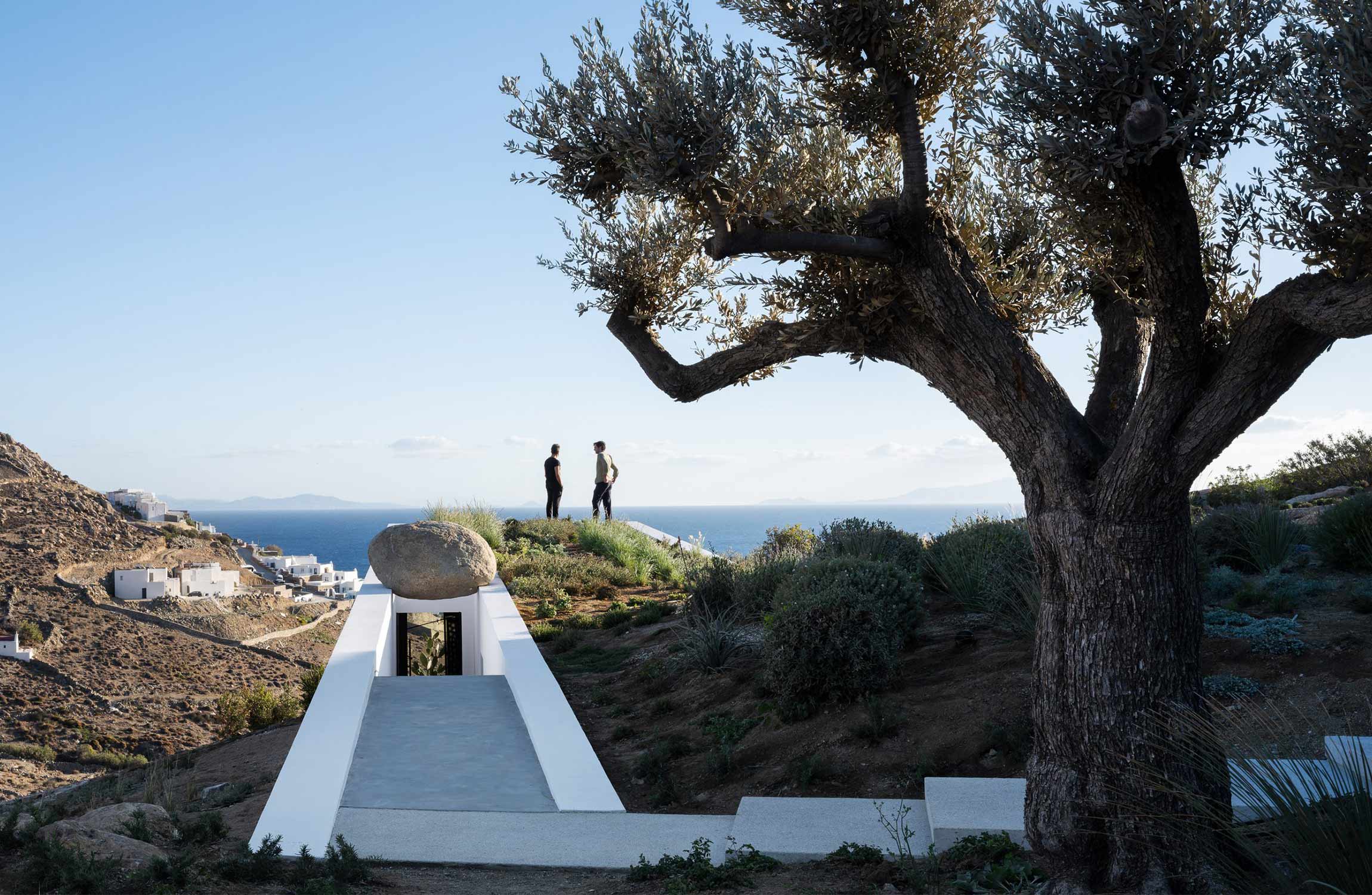 Rooftop pathway at Aimasia Residence in Mykonos, with sculptural olive tree and panoramic views over the Aegean Sea